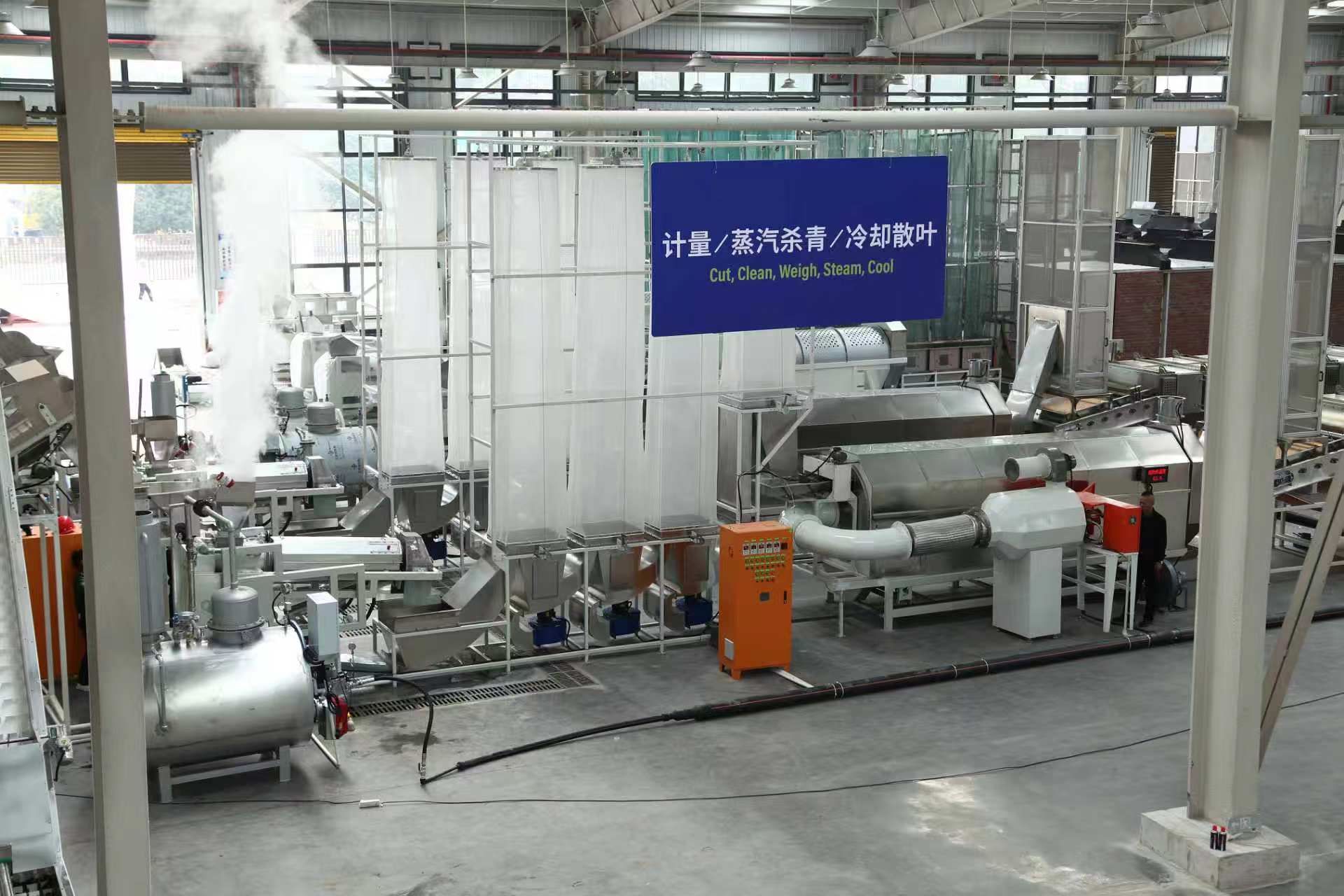 Steam Fixation & Cooling