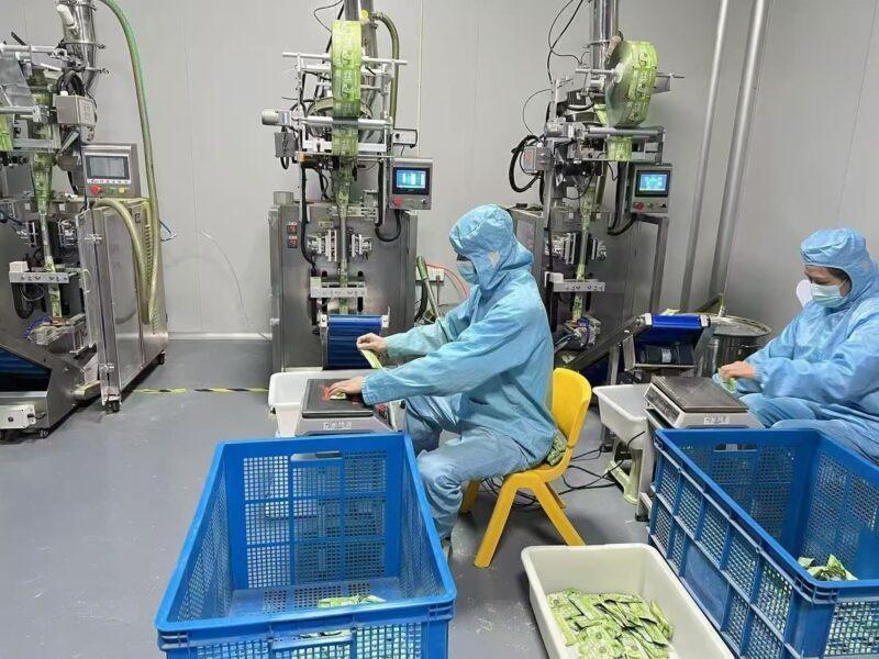 Dust-Free Automatic Packaging Workshop