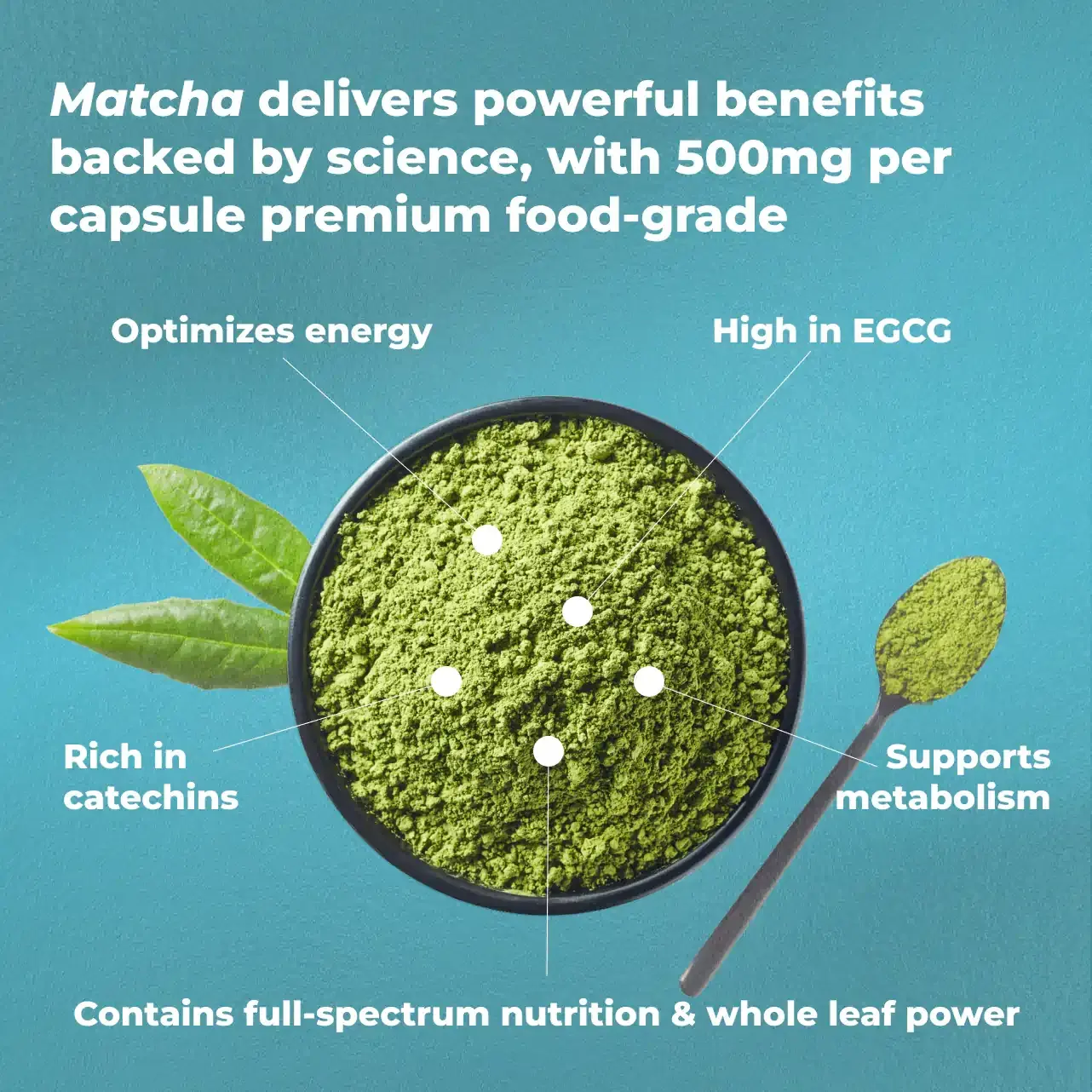 A bowl of vibrant green matcha powder with annotations showing health benefits like high in EGCG, rich in catechins, supports metabolism, and optimizes energy.